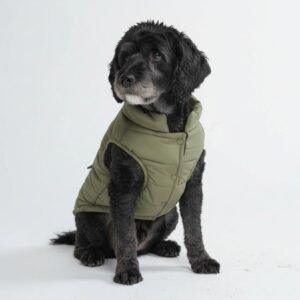 Waterproof and Windproof Fleece-lined Dog Coat