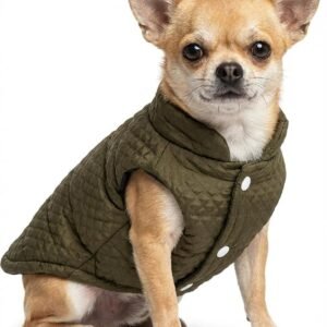 Lightweight and Warm Small Dog Winter Jacket