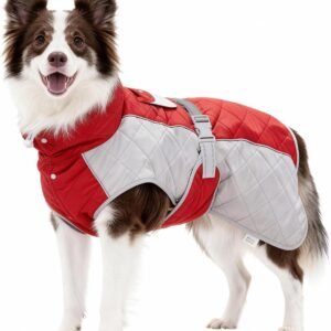 Waterproof Reflective Adjustable Dachshund Jacket
