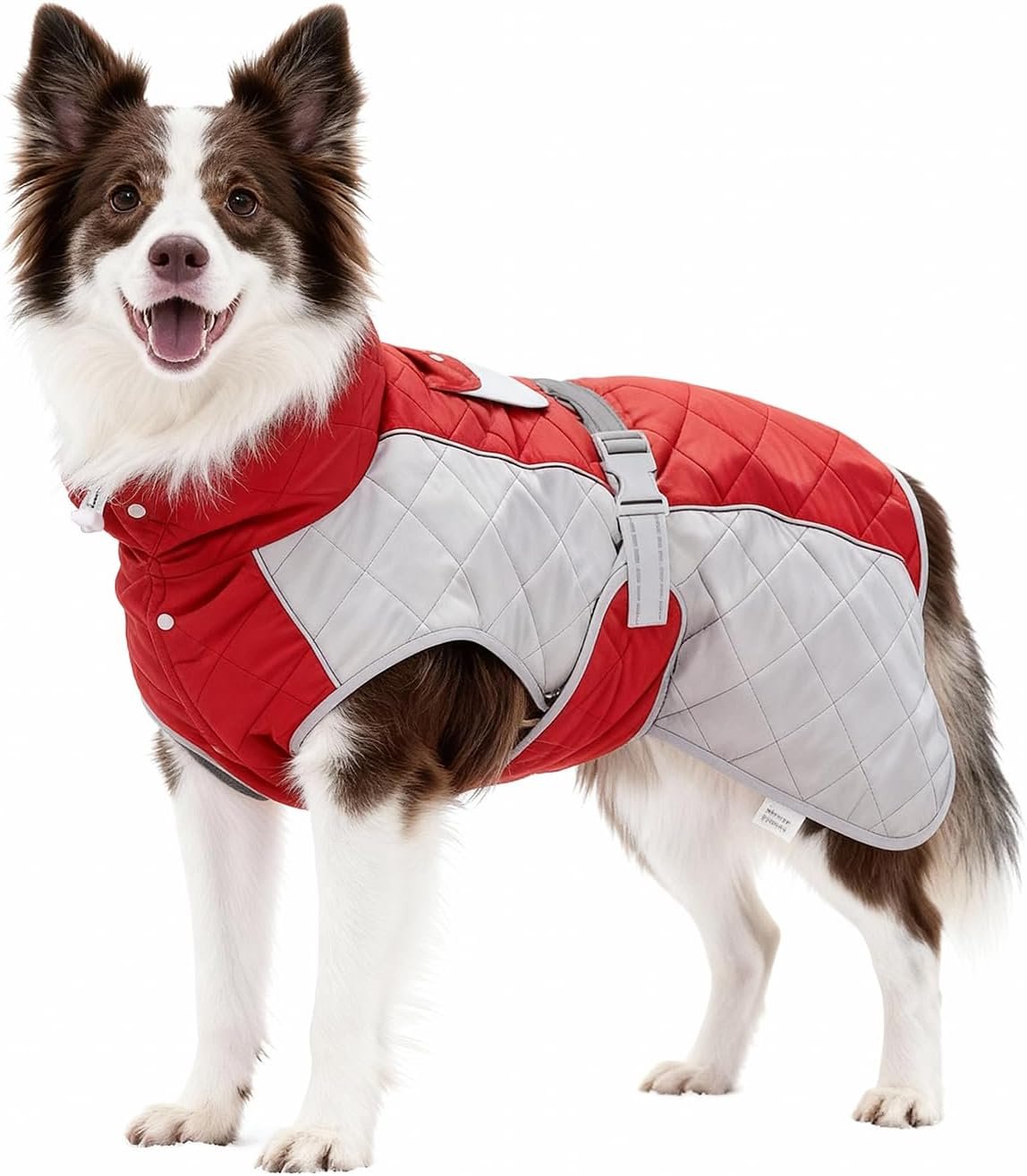 Waterproof Reflective Adjustable Dachshund Jacket