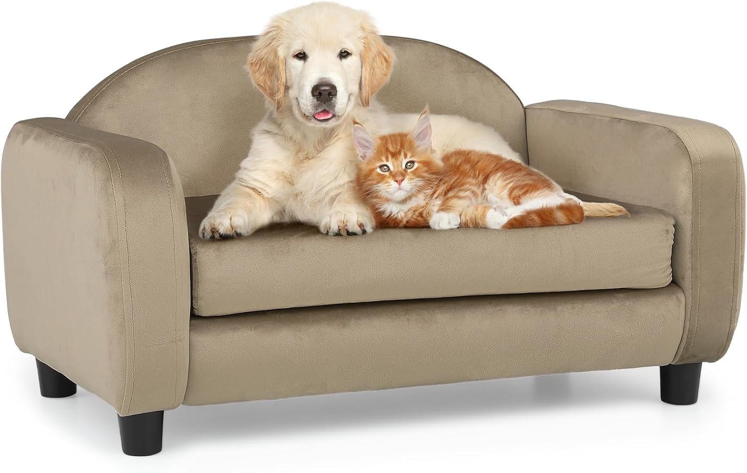 Pet sofas, suitable for small dogs and cats, velvet cat sofa bed