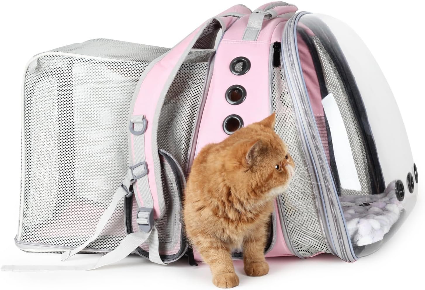Pet backpack, bubble backpack, meets air transport standards