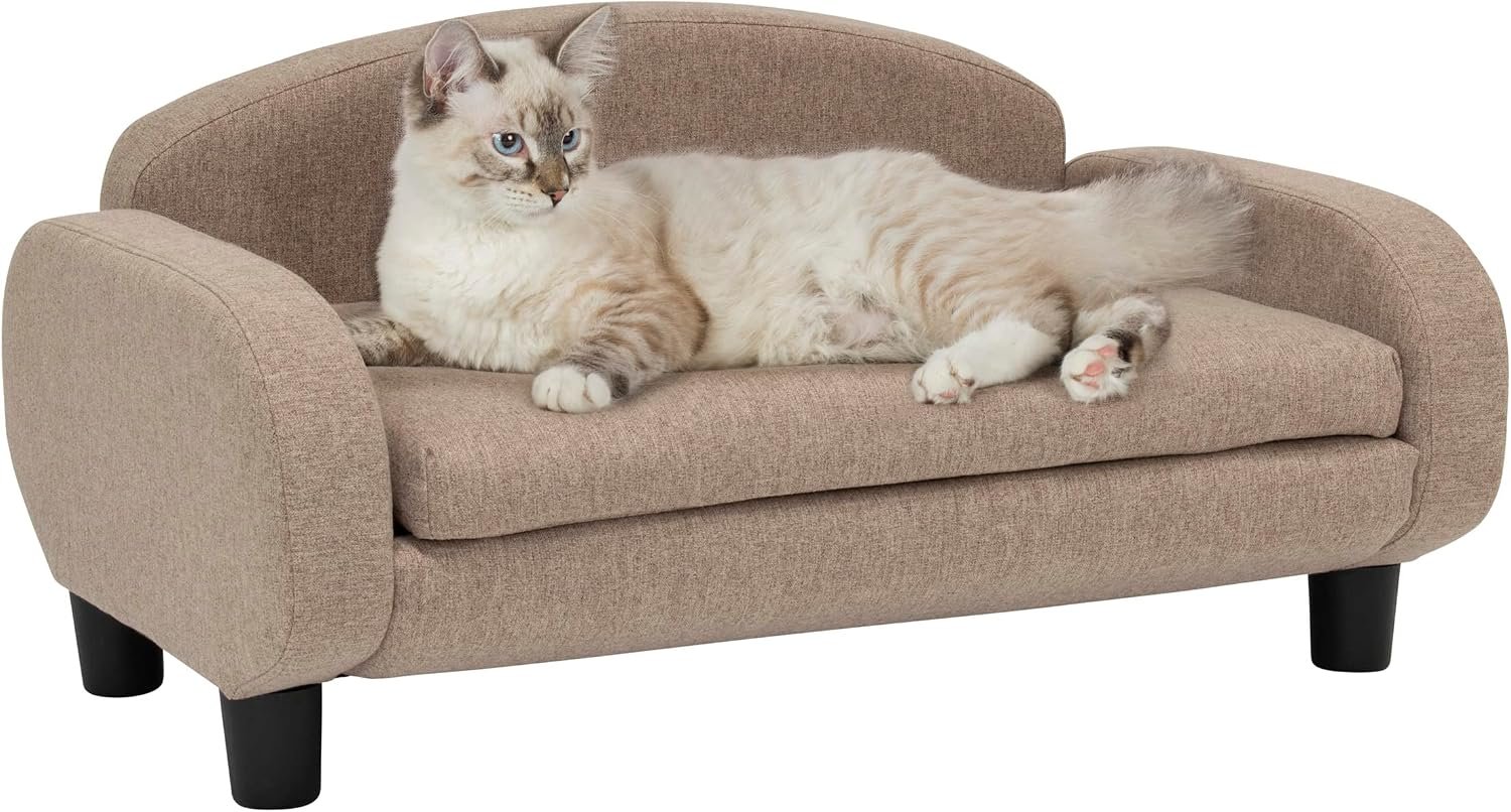 Modern pet sofa, low-back lounge bed with removable mattress cover