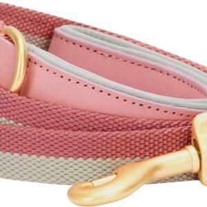 Polyester Webbing & Genuine Leather Hybrid Dog Leash (Pink-Grey Colorway)