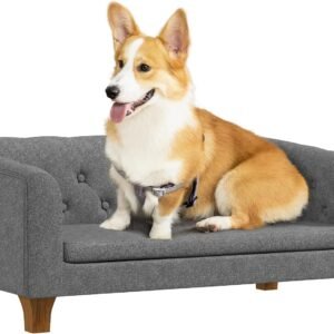Elevated dog sofa, suitable for small to medium-sized dogs, with removable cushions.